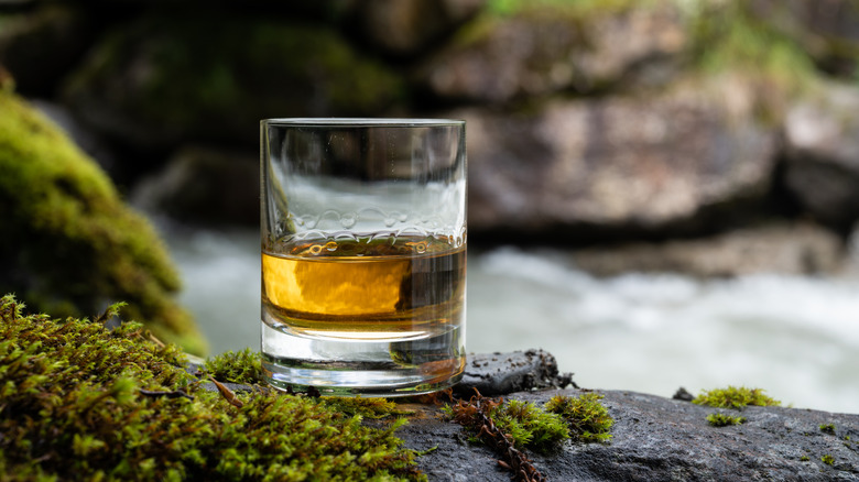 scotch glass on riverbank