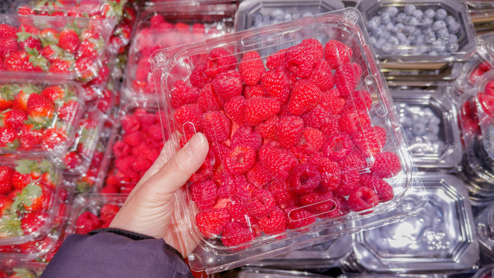 Where Does Costco Get Its Raspberries From?