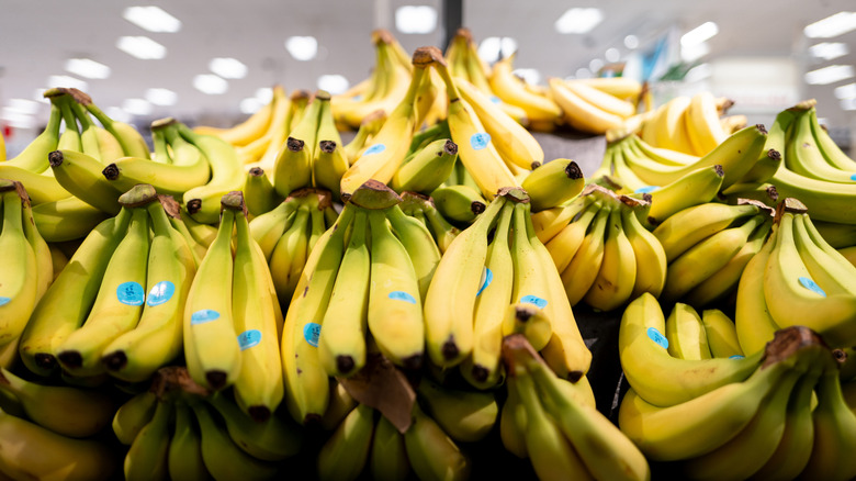 Bunches of bananas at a Target store