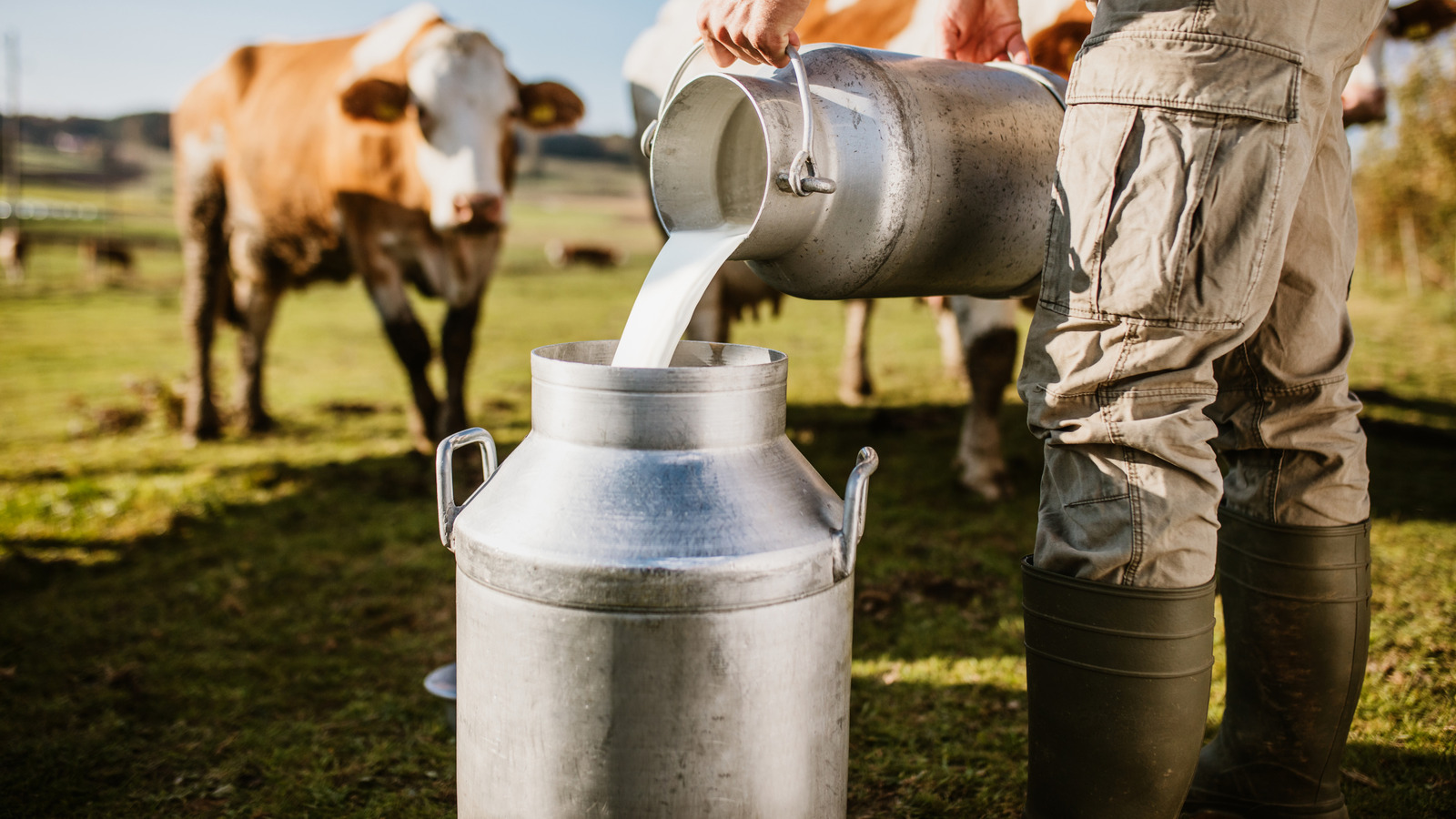 Where Great Value Actually Sources Its Milk - Tasting Table