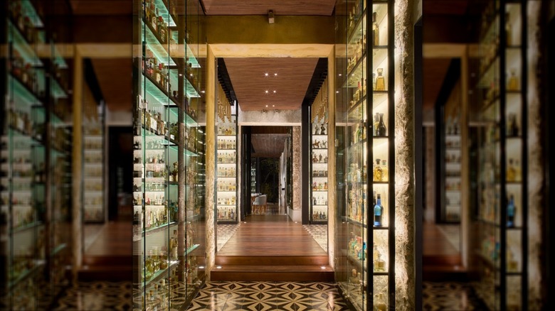 Ixi'im restaurant's hallway lined with a display of tequila bottles