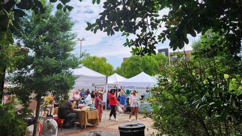 People strolling by farmers market tents, as seen from the shelter of trees