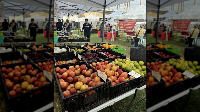 Various apples, pears, and stone fruits on table at farmers market