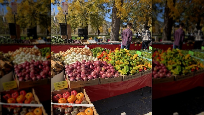 Various vegetables like tomatoes, onions, and peppers on table underneath autumnal foliage
