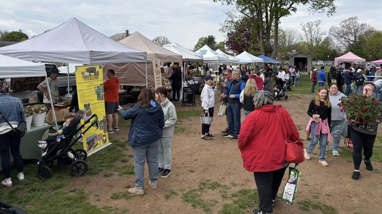 Folks of all ages shopping at farmers market on field