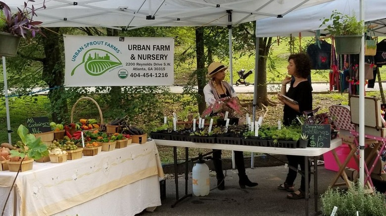 Vendors chatting behind table laden with seedlings