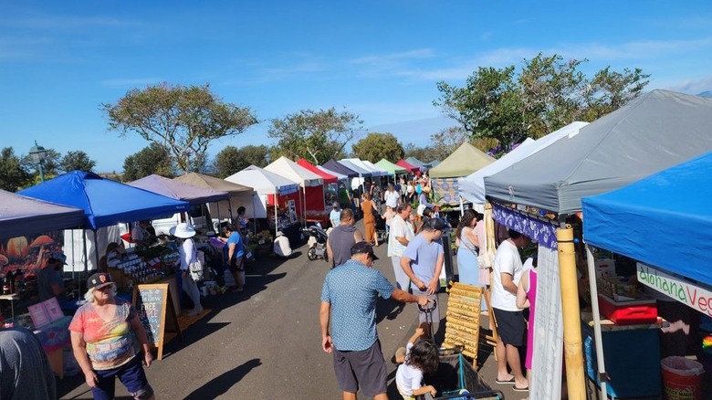 Folks shopping at farmers market on sunny day