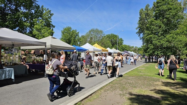 Shoppers strolling long street lined with farmers market tents on one side and grass on the other