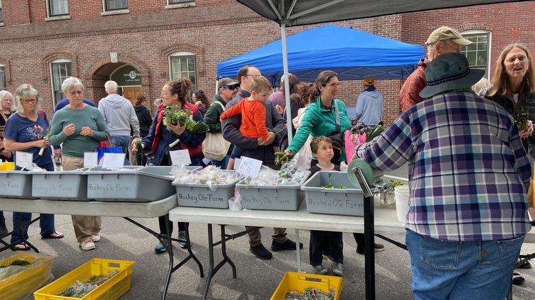 Shoppers perusing produce selection on tables in front of brick building