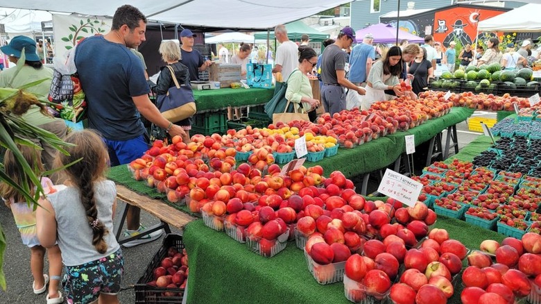 Shoppers examining nectarines and other fruits at bountiful farmers market stand