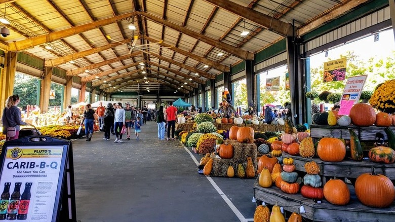 Pumpkins, gourds, and autumnal flowers underneath sheltered area of farmers market
