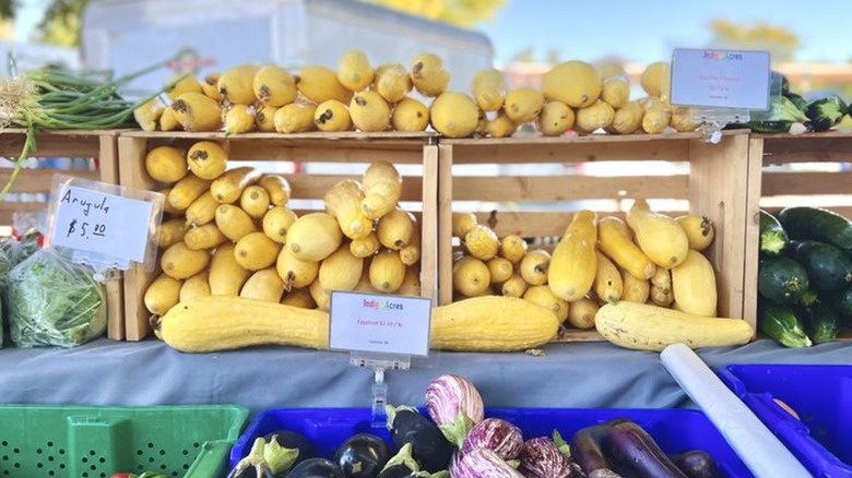 Summer squash, eggplant, arugula, and green onions displayed in crates
