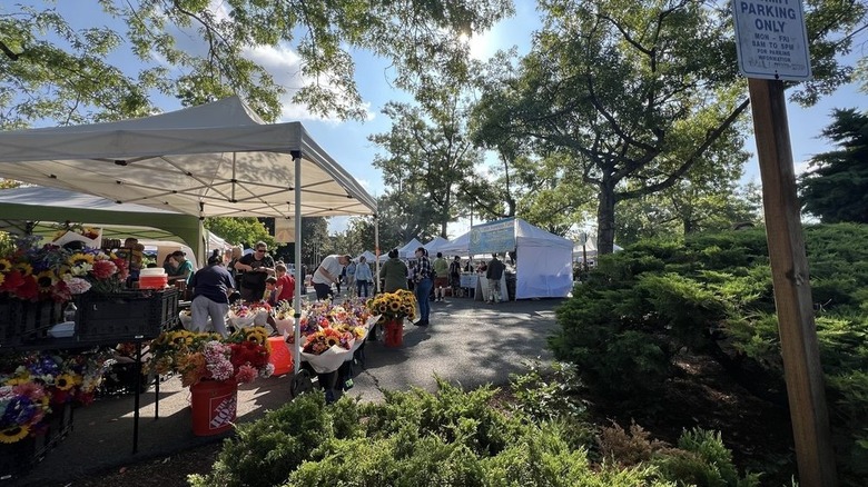Shoppers perusing farmers market under shade of trees