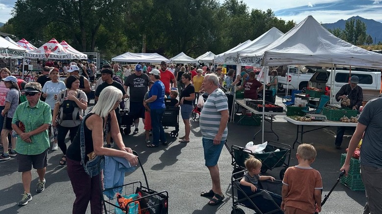 Families browsing farmers market, mountains in background