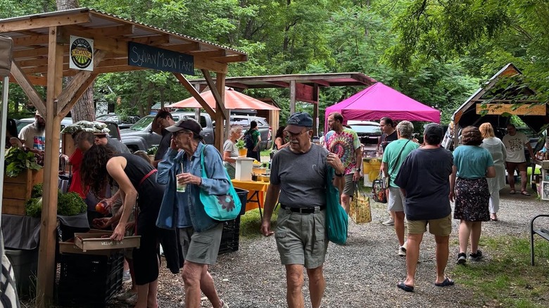 Shoppers perusing farmers market stands underneath canopy of trees