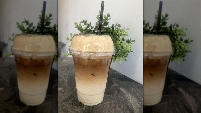 Iced pumpkin spice latte in plastic to-go cup with straw, plant in background