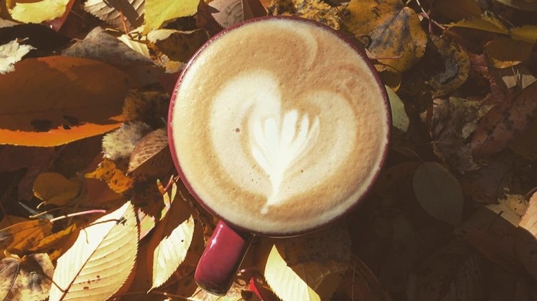 Mug full of pumpkin spice latte, placed atop autumnal leaves