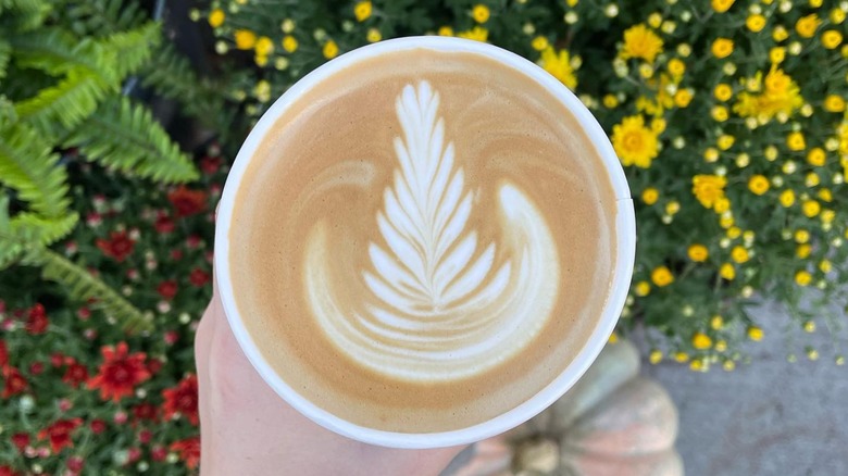 Overhead shot of hand holding pumpkin spice latte above flowers and pumpkin