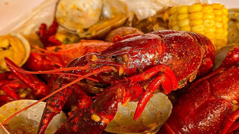 Crawfish boil with corn and clams