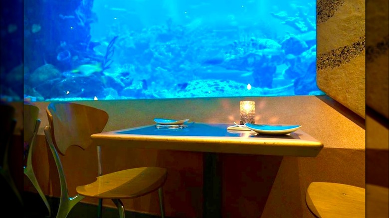 Dining table by the coral reef at Disney's Coral Reef Restaurant