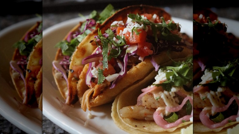 A close-up of a plate of three tacos, each with a different filling
