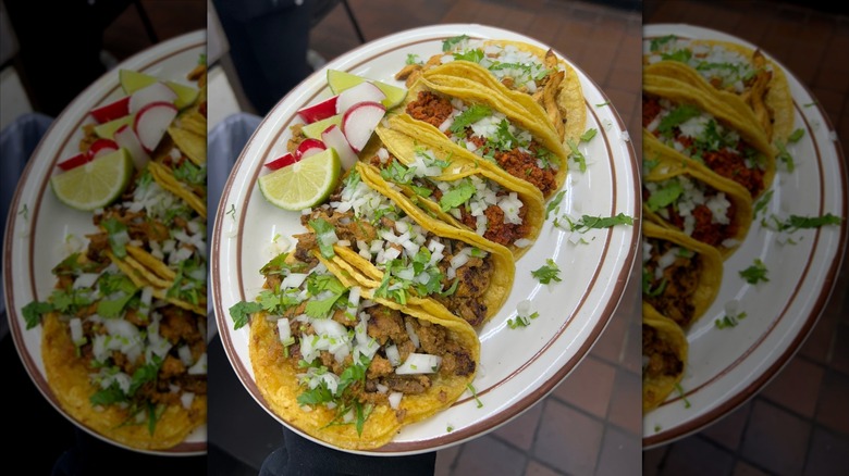 Five soft tacos with different meats on a white plate, limes and radishes beside