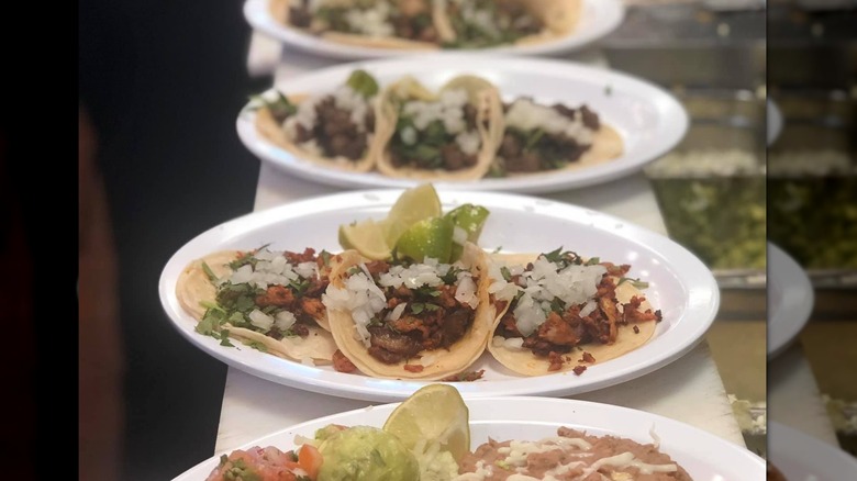 Several white plates of tacos lined up in a kitchen, ready to serve