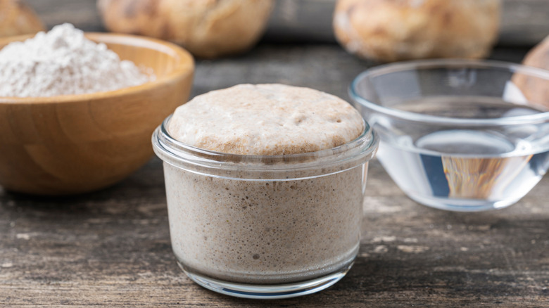 A jar of bubbling sourdough starter next to bowls of flour and water