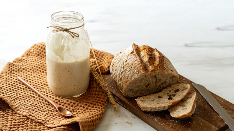 A covered jar of sourdough starter with a loaf