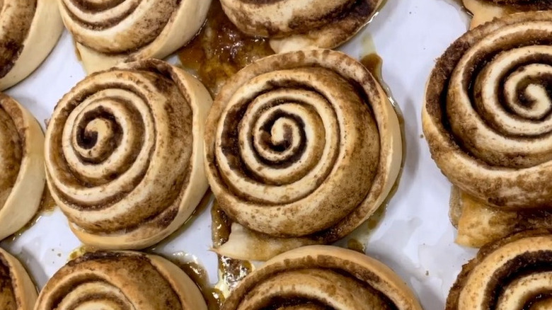 Several unglazed cinnamon rolls on parchment paper