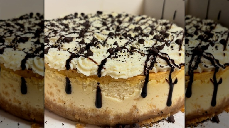 Close-up of cheesecake with whipped cream and chocolate drizzle