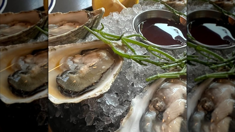 Oysters on ice with sea greens