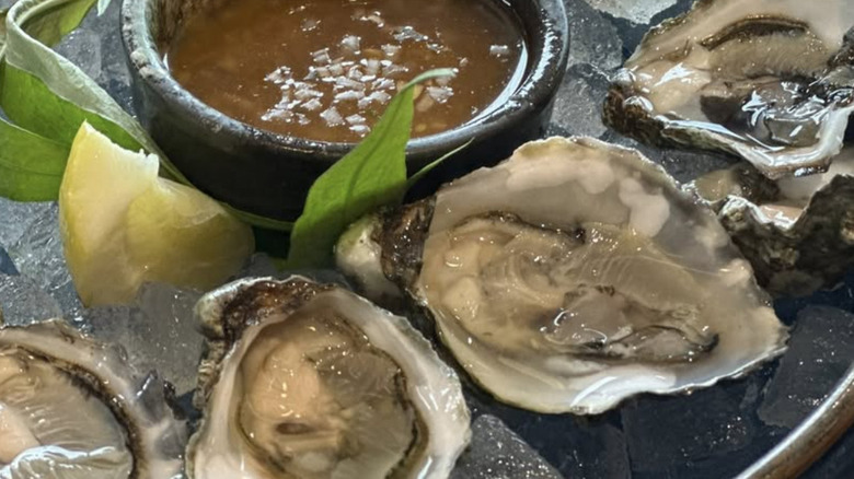 Oysters on ice with sauce