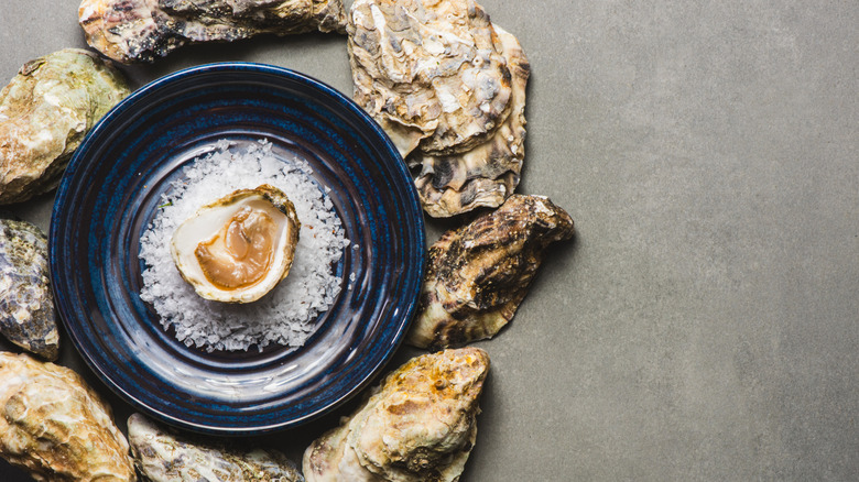 Oyster on a bed of salt in a blue bowl