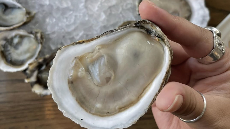 Hand holding a raw oyster