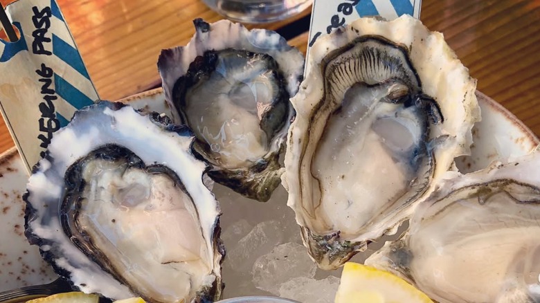 Four raw oysters on ice in Seattle