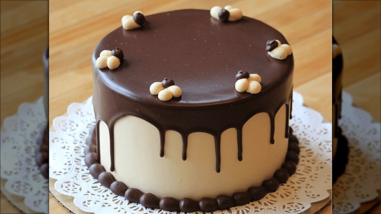 Turtle cake decorated with salted caramel buttercream and chocolate ganache