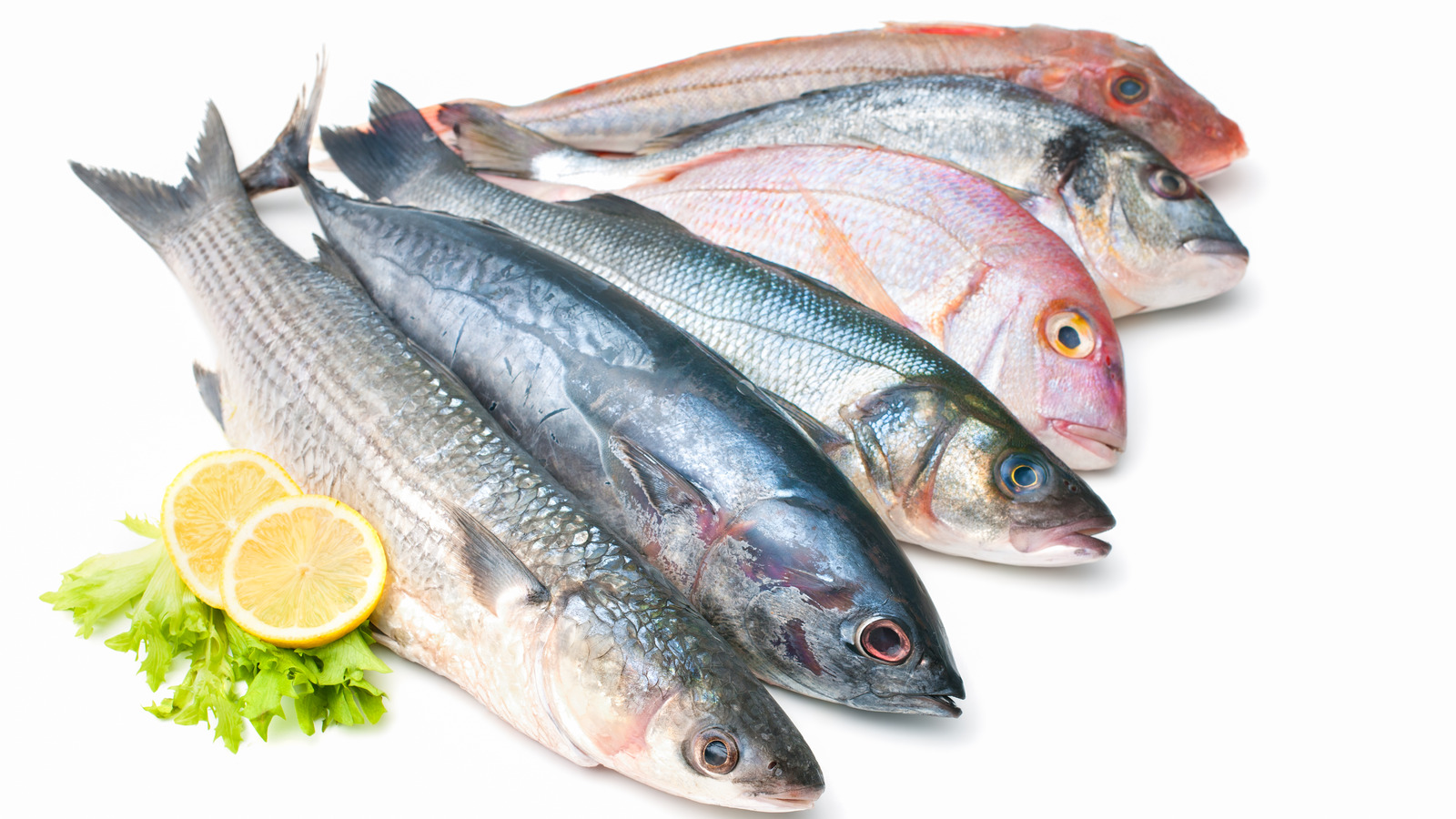 Fish product. Свежая рыба. Рыбные продукты. Рыба в ассортименте. Свежезамороженная рыба.