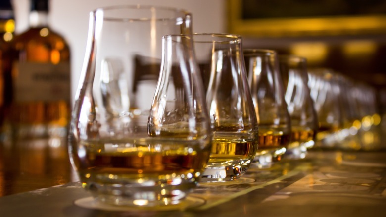 A flight of glasses with whiskey for a whiskey tasting