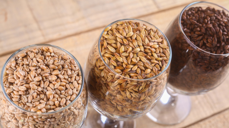 grains for making whiskey in glasses