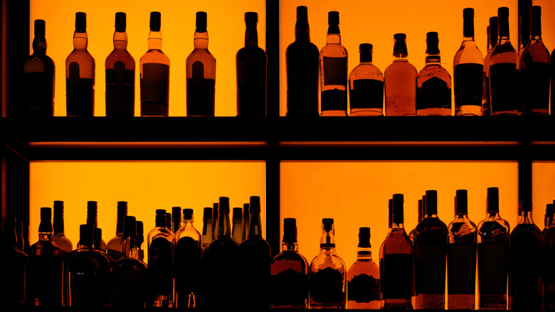 alcohol bottles back-lit behind a bar