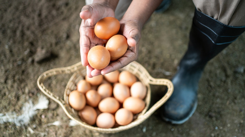 A pair of hands holds three eggs above a basket of eggs, with a pair of feet in boots in the background