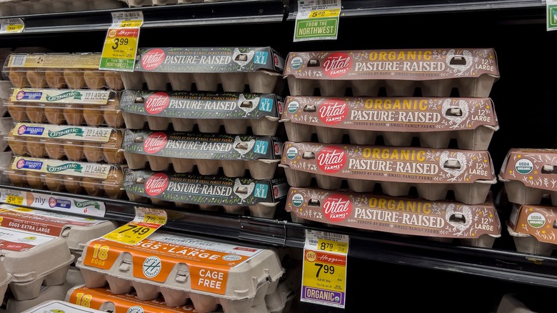 eggs at grocery store 