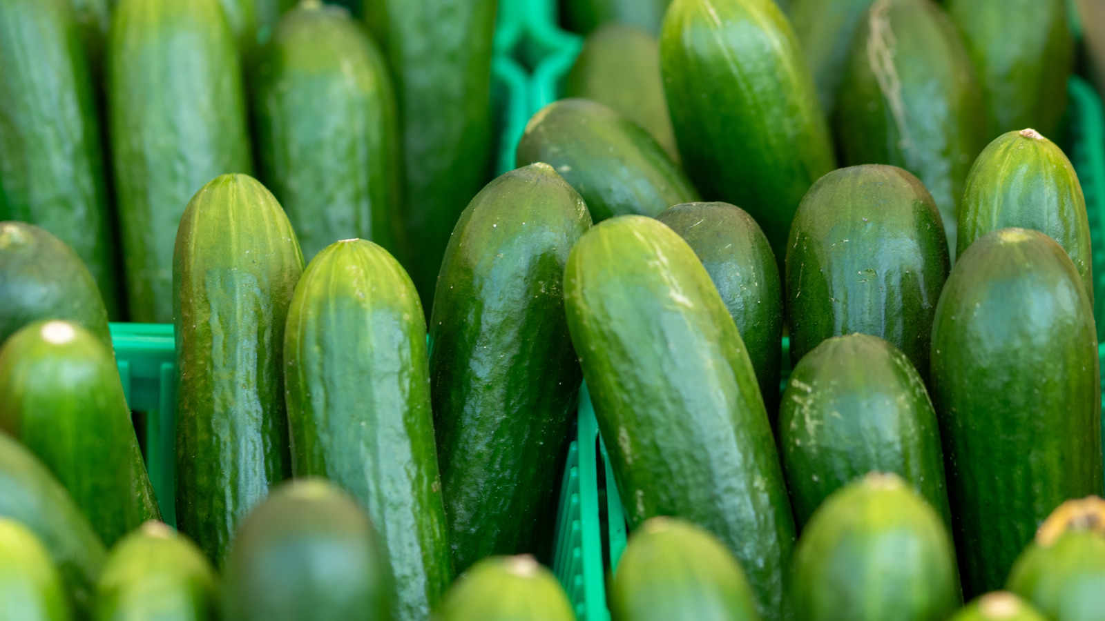 Why Aldi Shoppers Avoid The Mini Cucumbers - Tasting Table