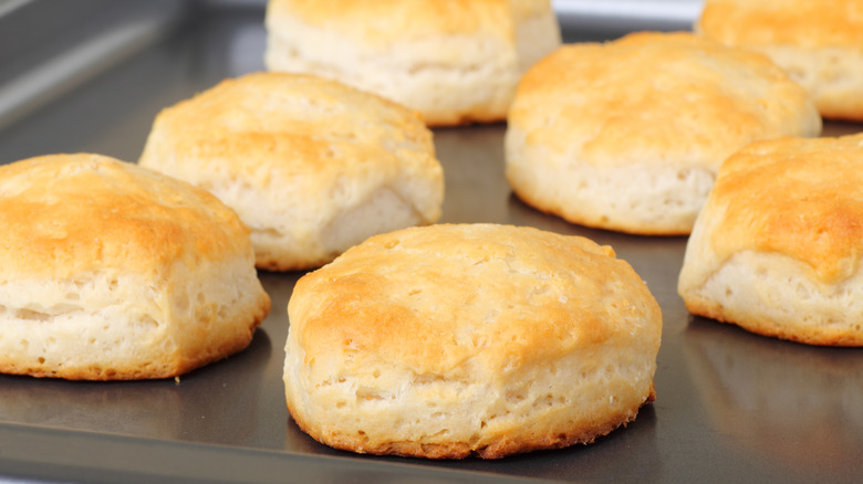 Buttermilk biscuits on a baking tray