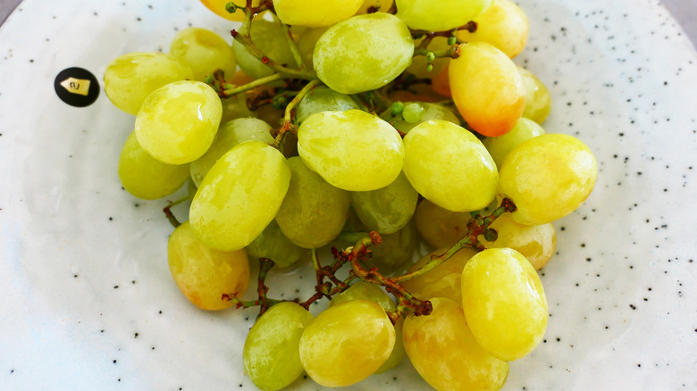 Why Are Cotton Candy Grapes So Expensive Why Are Cotton Candy Grapes So Expensive