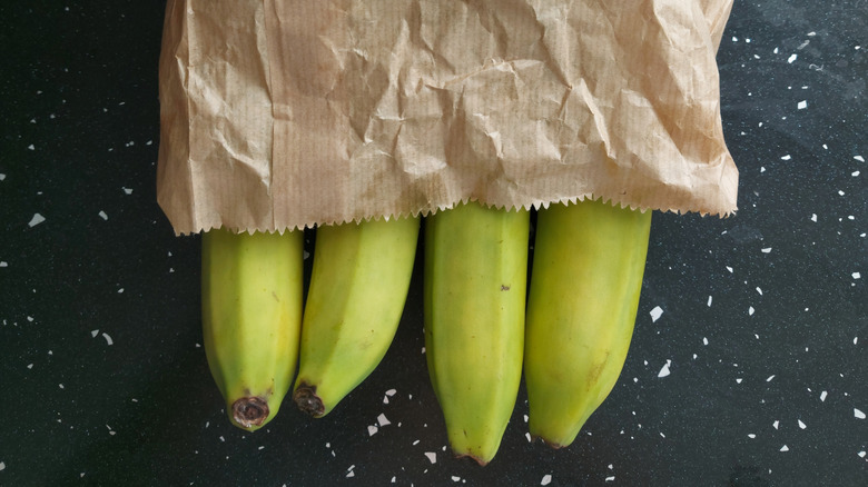 Greenish bananas going in a brown bag to ripen