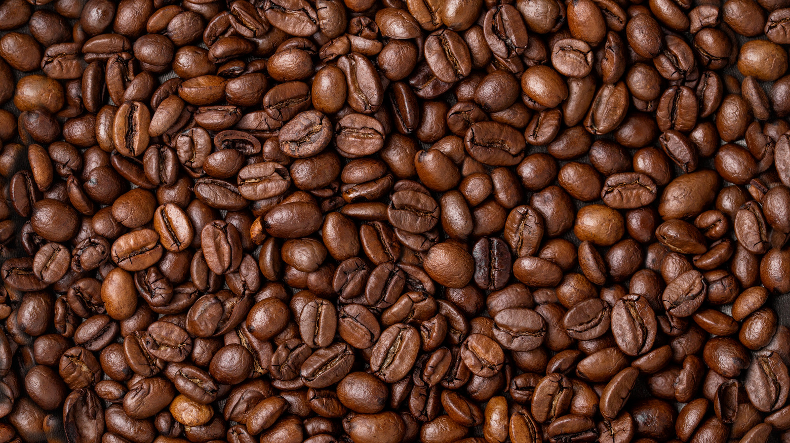 Why Are Some Coffee Beans Shiny And Others Aren't?