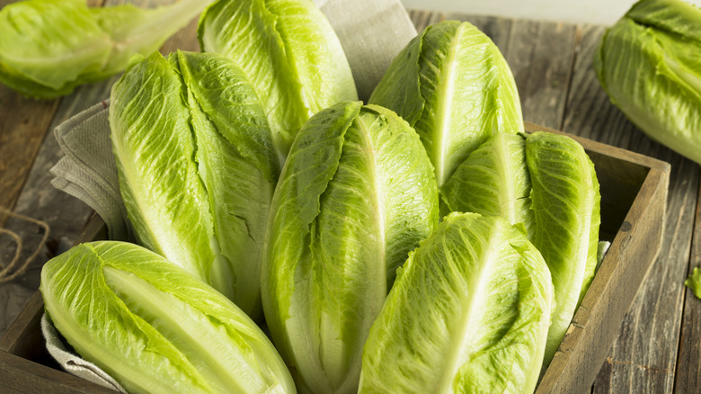 A small wooden box full of romaine lettuce sitting on a table