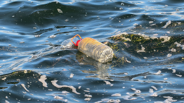 Why Bottled Water Is Not Worth It In 2026